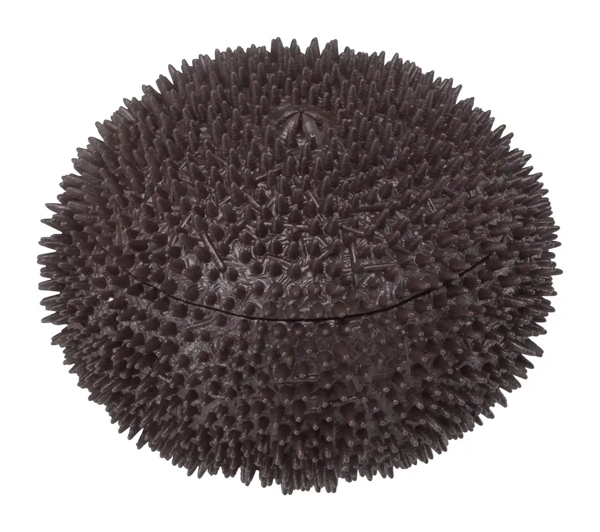Megahouse Sea Urchin Kaitai Puzzle Series Buy Self-Assembly Food Puzzle Made In Japan- Japan Figure Store - #1 Bring To You The Best Japanese Goods