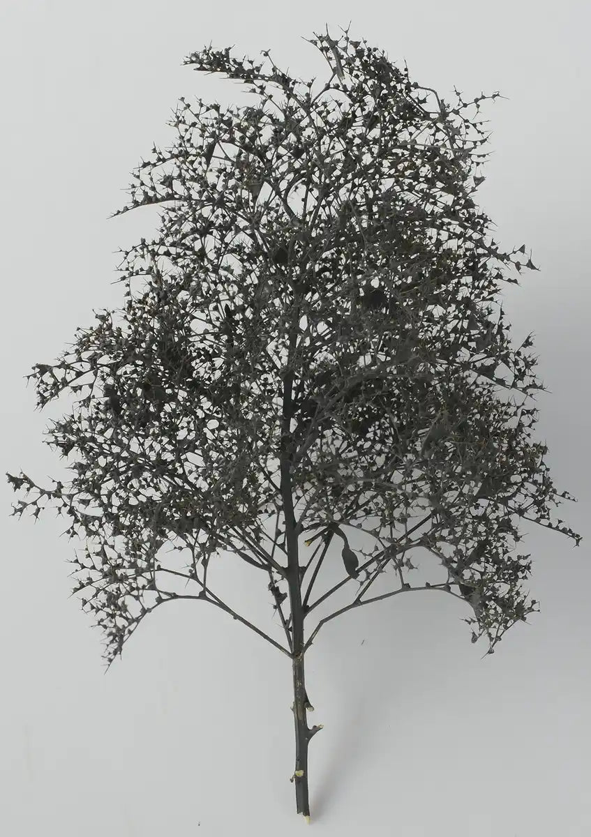 Kato Woodland Scenics Natural Black Trees 24-368 Model Railway Supplies- Japan Figure Store - #1 Bring To You The Best Japanese Goods