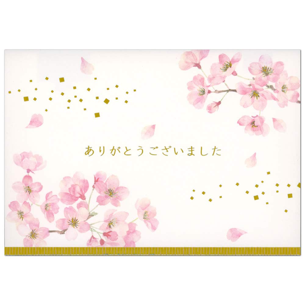 Sanrio Watercolor Cherry Blossom Thank You Card - Graduation/Admission Greeting- Japan Figure Store - #1 Bring To You The Best Japanese Goods