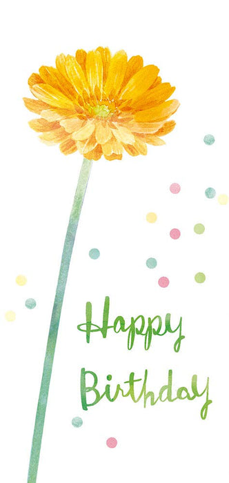 Sanrio Birthday Celebration Gerbera Single Flower Floral Arrangement- Japan Figure Store - #1 Bring To You The Best Japanese Goods