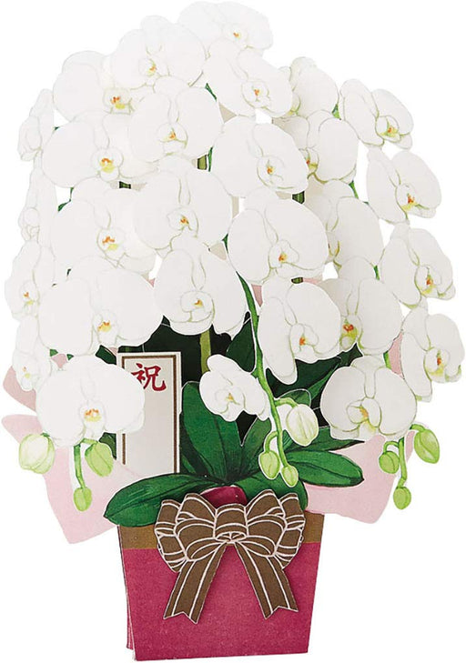 Sanrio Celebration Butterfly Pop-Up Card CR31-8 L 231- Japan Figure Store - #1 Bring To You The Best Japanese Goods