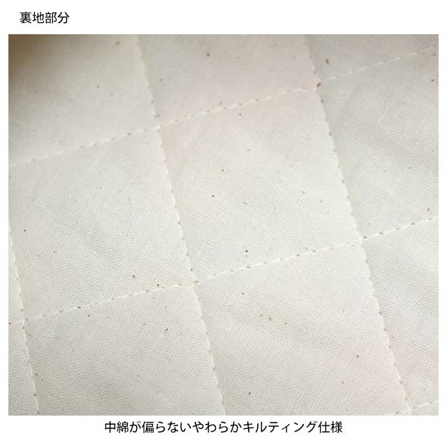 Sanrio Cinnamoroll Girls Shoe Case CG-3011 Durable and Stylish- Japan Figure Store - #1 Bring To You The Best Japanese Goods