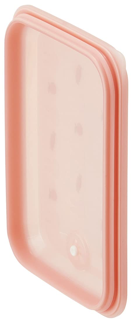 Skater 1-Tier Ag+ Antibacterial Bento Box 600ML Miffy Pas6Ag-A Soft Serving Option- Japan Figure Store - #1 Bring To You The Best Japanese Goods