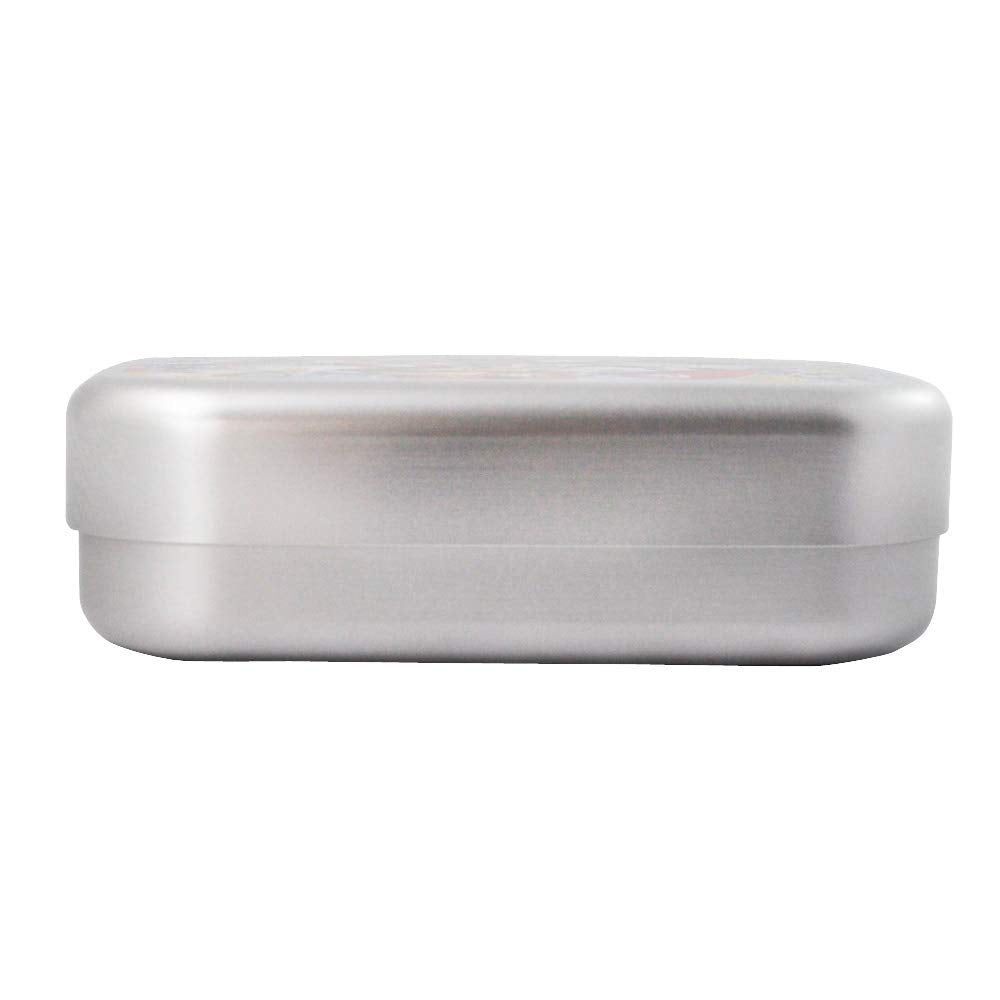 Skater Kids Aluminum Lunch Box - 370ml My Neighbor Totoro Daisy Made in Japan- Japan Figure Store - #1 Bring To You The Best Japanese Goods