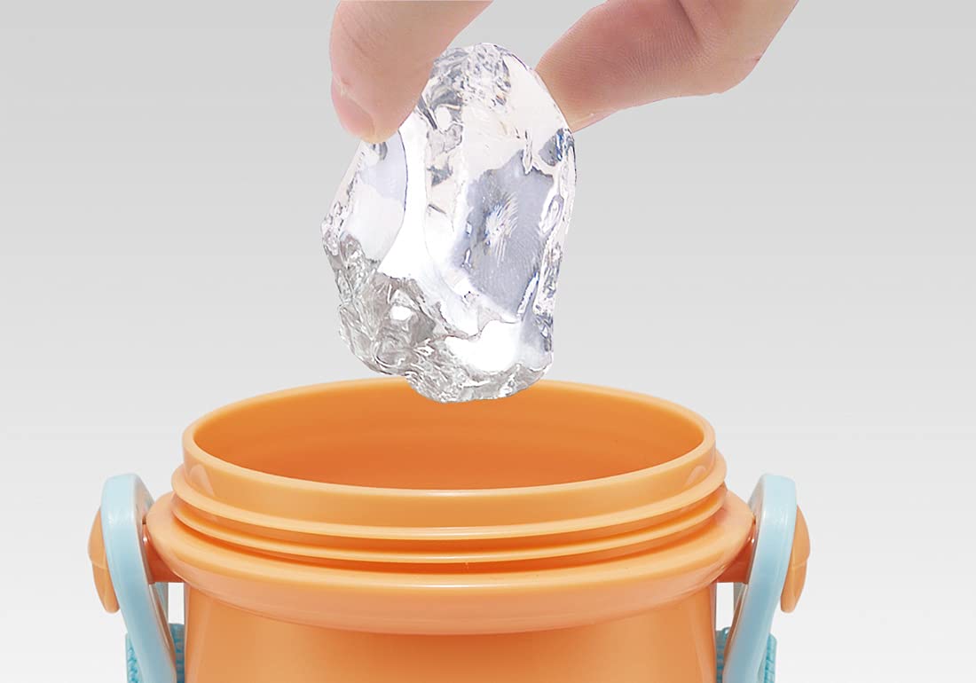 Skater Kids 480ml Water Bottle with Silver Ion Antibacterial Technology Puipui Molcar Design- Japan Figure Store - #1 Bring To You The Best Japanese Goods