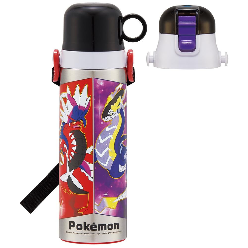Skater Kids Stainless Steel Water Bottle 580ml Lightweight Thermal Pokemon Design Sports Drink Cup- Japan Figure Store - #1 Bring To You The Best Japanese Goods