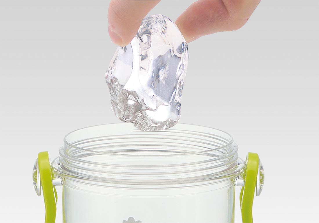 Skater Dinosaur Kids Water Bottle 480ml Clear Made in Japan for Boys- Japan Figure Store - #1 Bring To You The Best Japanese Goods