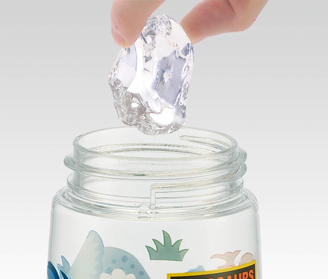 Skater Dinosaur 480ml Clear Water Bottle with Straw for Boys - PDSH5-A- Japan Figure Store - #1 Bring To You The Best Japanese Goods