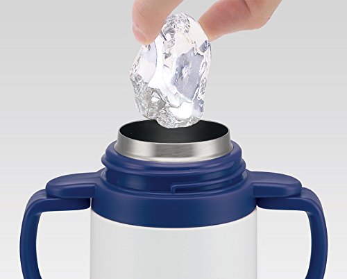 Skater Toy Story Kids 240ml Stainless Steel Water Bottle with Double Handles & Straw- Japan Figure Store - #1 Bring To You The Best Japanese Goods