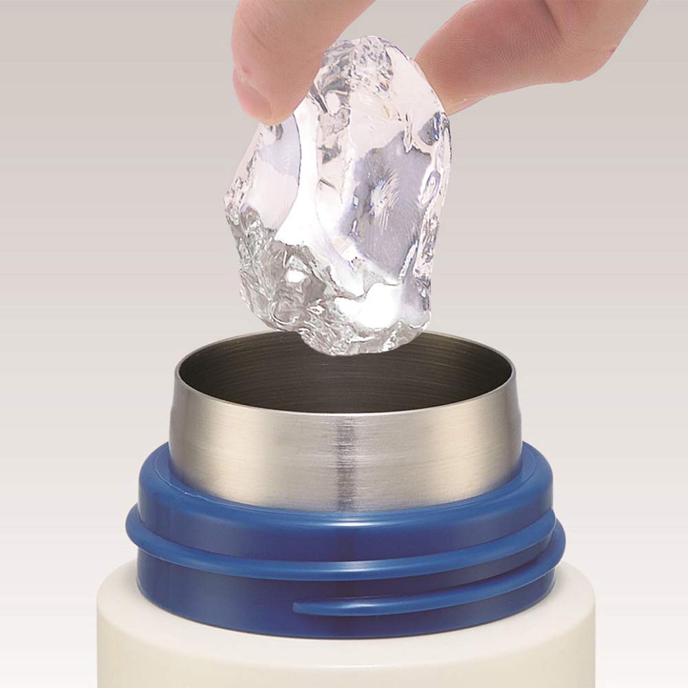 Skater Snoopy Retro 490mL Stainless Steel Insulated Water Bottle Peanuts Label- Japan Figure Store - #1 Bring To You The Best Japanese Goods