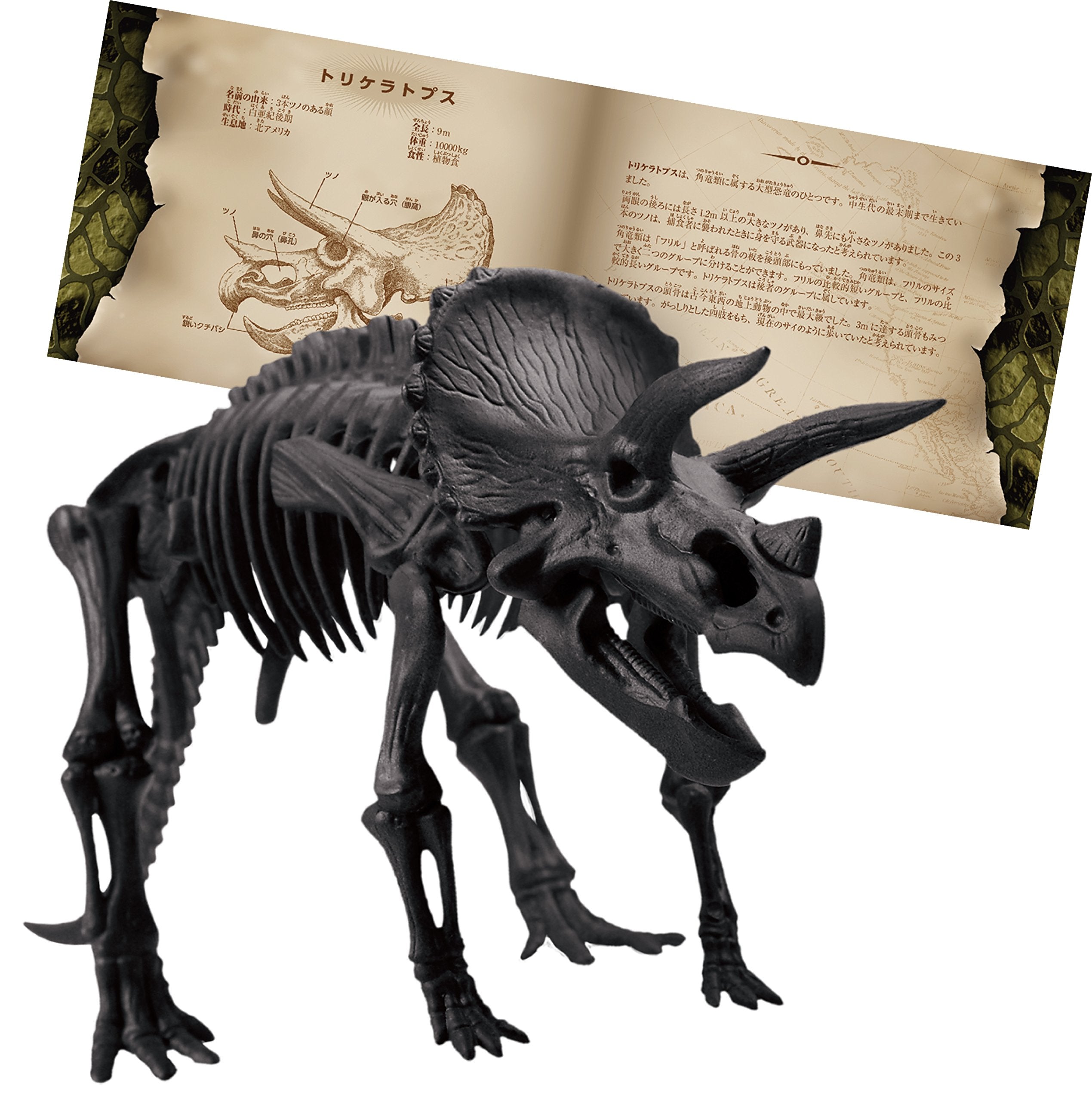 BEVERLY 3D Puzzle Dn-007 Dinosaur Triceratops 10 Pieces- Japan Figure Store - #1 Bring To You The Best Japanese Goods