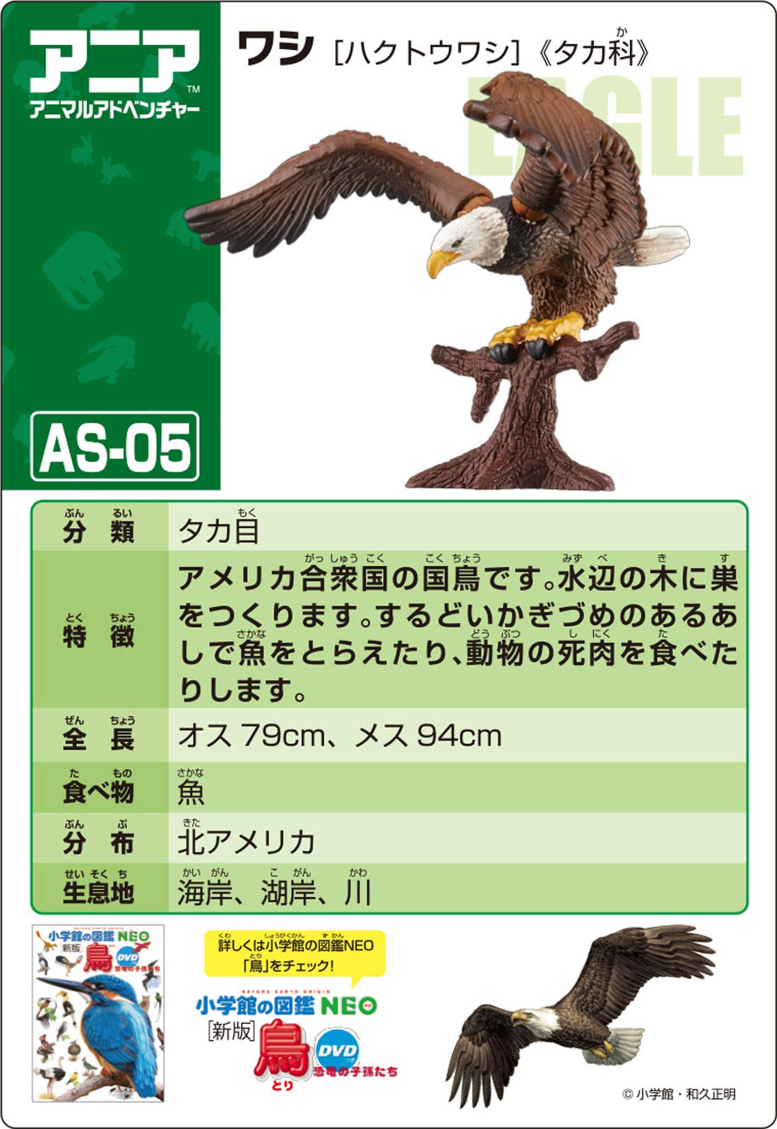 TAKARA TOMY As-05 Animal Adventure Eagle Bald Eagle Figure- Japan Figure Store - #1 Bring To You The Best Japanese Goods