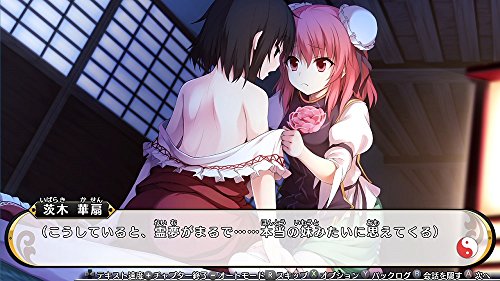 Aqua Style Touhou Genso Wanderer Reloaded Nintendo Switch Used