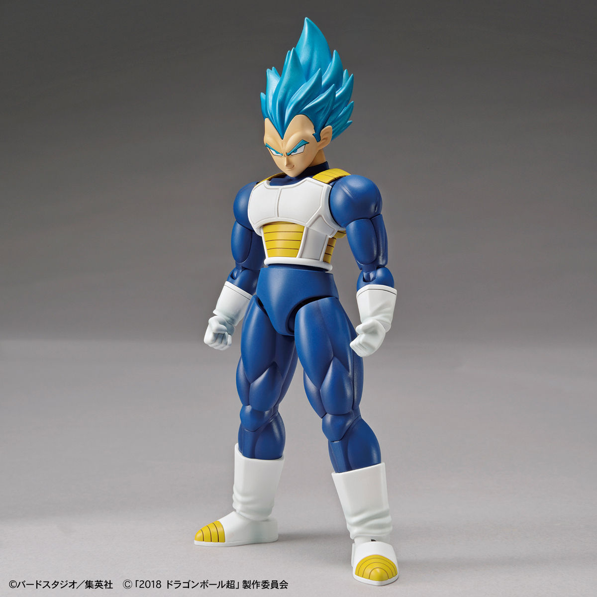 Bandai Figure-rise Standard Super Saiyan God Super Saiyan Vegeta Special Color