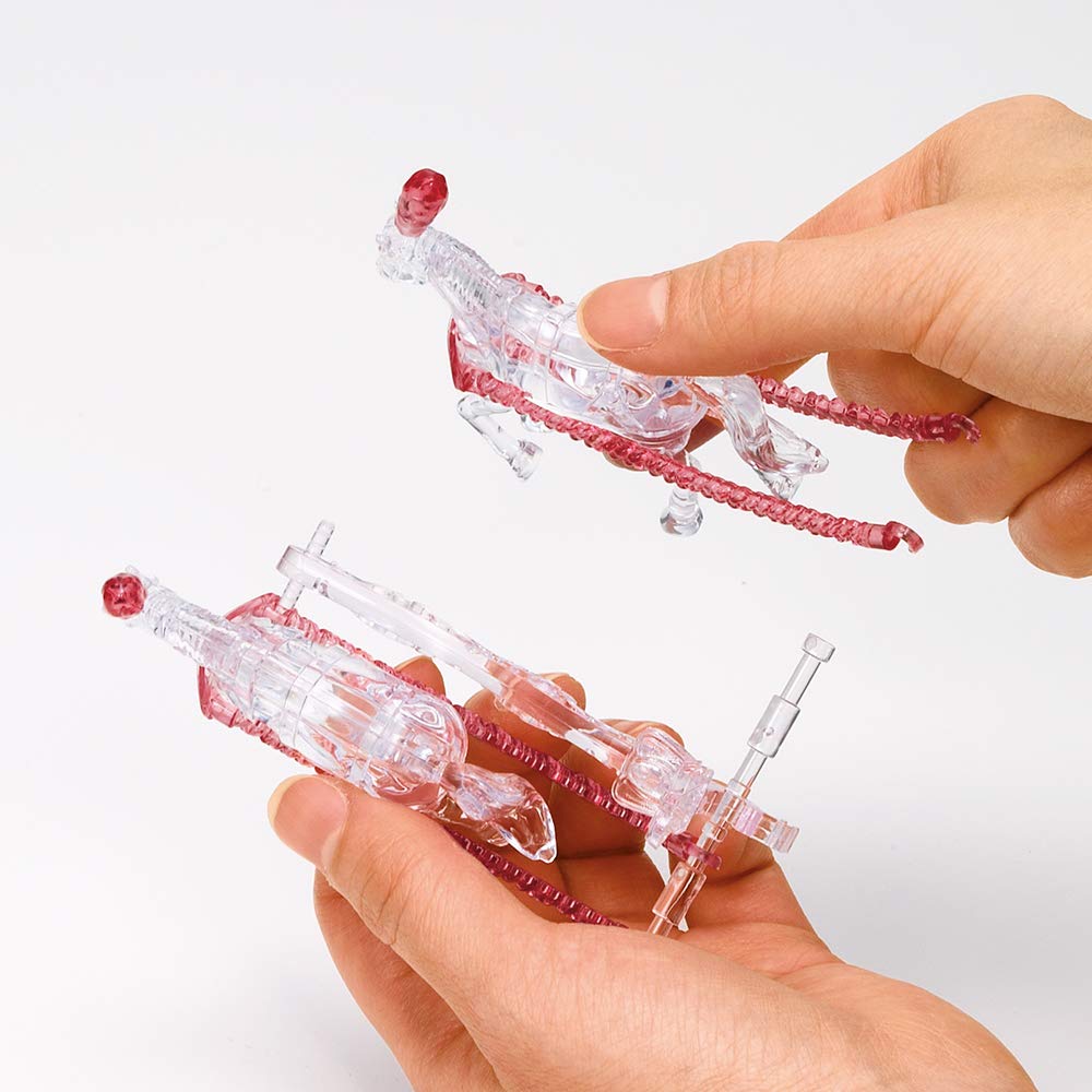 Beverly Crystal 3D Puzzle Royal Carriage Rose (67 Pieces) Crystal Jigsaw Puzzle- Japan Figure Store - #1 Bring To You The Best Japanese Goods