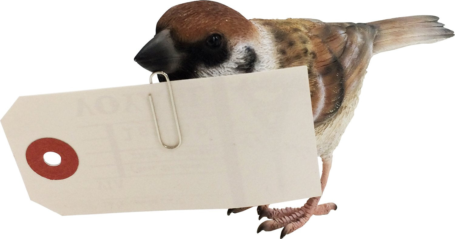 Magnet Small Bird 2374 Birdie Bill Sparrow Japanese Bird 3D Models Home Decoration- Japan Figure Store - #1 Bring To You The Best Japanese Goods