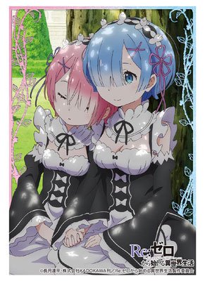 Bushiroad High Grade Vol.1143 Sleeve Collection - Re:Zero Rem & Ram Part.2- Japan Figure Store - #1 Bring To You The Best Japanese Goods