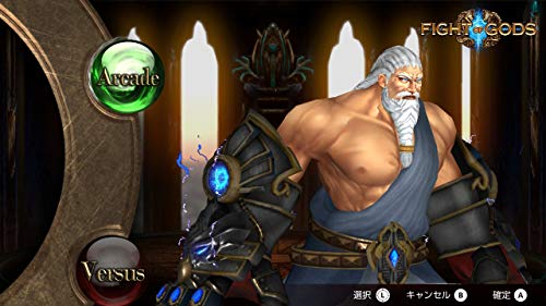 Cosen Fight Of Gods Nintendo Switch - New Japan Figure 4580567440175 5