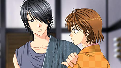 D3 Publisher Bakumatsu Renka Shinsengumi: Jinchuu Houkoku No Shi For Nintendo Switch - New Japan Figure 4527823998582 3