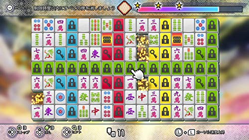 D3 Publisher The Variety Game Daishugo Kingyo Sukui, Card, Suji Puzzle, Nikakudori Nintendo Switch - New Japan Figure 4527823998360 5