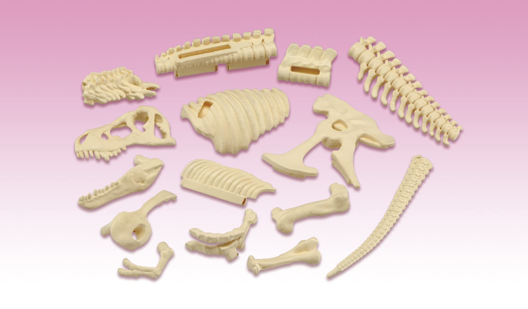 Megahouse Tyrannosaurus Kaitai Puzzle Series Japanese Self-Assembly Puzzle- Japan Figure Store - #1 Bring To You The Best Japanese Goods