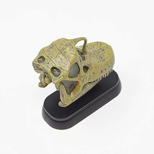 Dinosaur Brachiosaurus Skull Mini Model Fdw-506- Japan Figure Store - #1 Bring To You The Best Japanese Goods