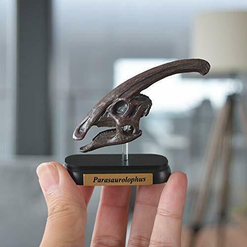 Dinosaur Parasaurolophus Skull Mini Model Fdw-504- Japan Figure Store - #1 Bring To You The Best Japanese Goods