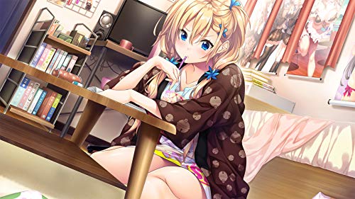 Entergram Aikagi 2 Playstation 4 Ps4 - New Japan Figure 4935066602980 1