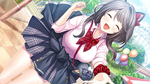Entergram Mikagami Sumika No Seifuku Katsudou Sony Ps4 Playstation 4 Used