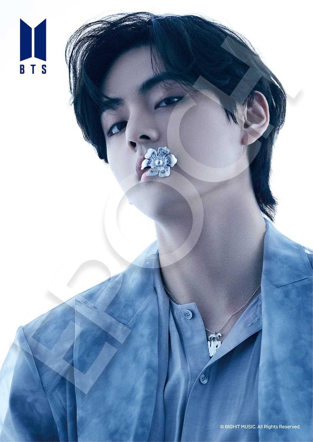 Epoch 108pc Jigsaw Puzzle BTS Proof V 41-313 (18.2x25.7cm)- Japan Figure Store - #1 Bring To You The Best Japanese Goods