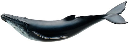Favorite Humpback Whale FM902- Japan Figure Store - #1 Bring To You The Best Japanese Goods