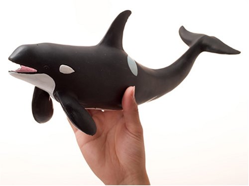 FM-301 Favorite Killer Whale- Japan Figure Store - #1 Bring To You The Best Japanese Goods