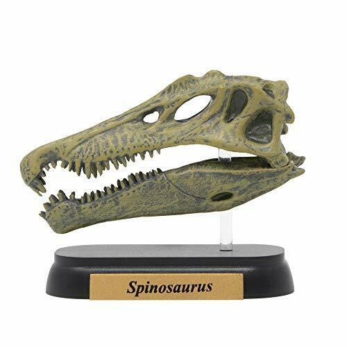 Favorite Spinosaurus Skull Dinosaur Mini Model Figure Designed By H.tokugawa- Japan Figure Store - #1 Bring To You The Best Japanese Goods