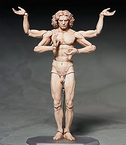 Figma Table Museum Vitruvian Human Figure Non-Scale Abs Pvc Painted Movable Figure Secondary Resale- Japan Figure Store - #1 Bring To You The Best Japanese Goods