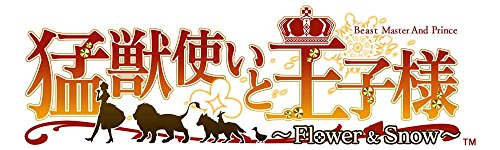 Idea Factory Moujuutsukai To Oujisama ~Flower & Snow~ Psvita - Used Japan Figure 4995857093953 1