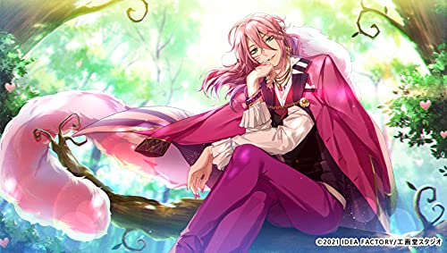 Idea Factory Shiro To Kuro No Alice For Nintendo Switch - New Japan Figure 4995857096794 3