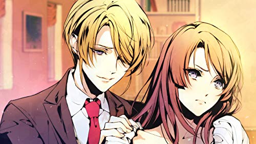 Idea Factory Variable Barricade Ps Vita Sony Playstation - New Japan Figure 4995857095810 6