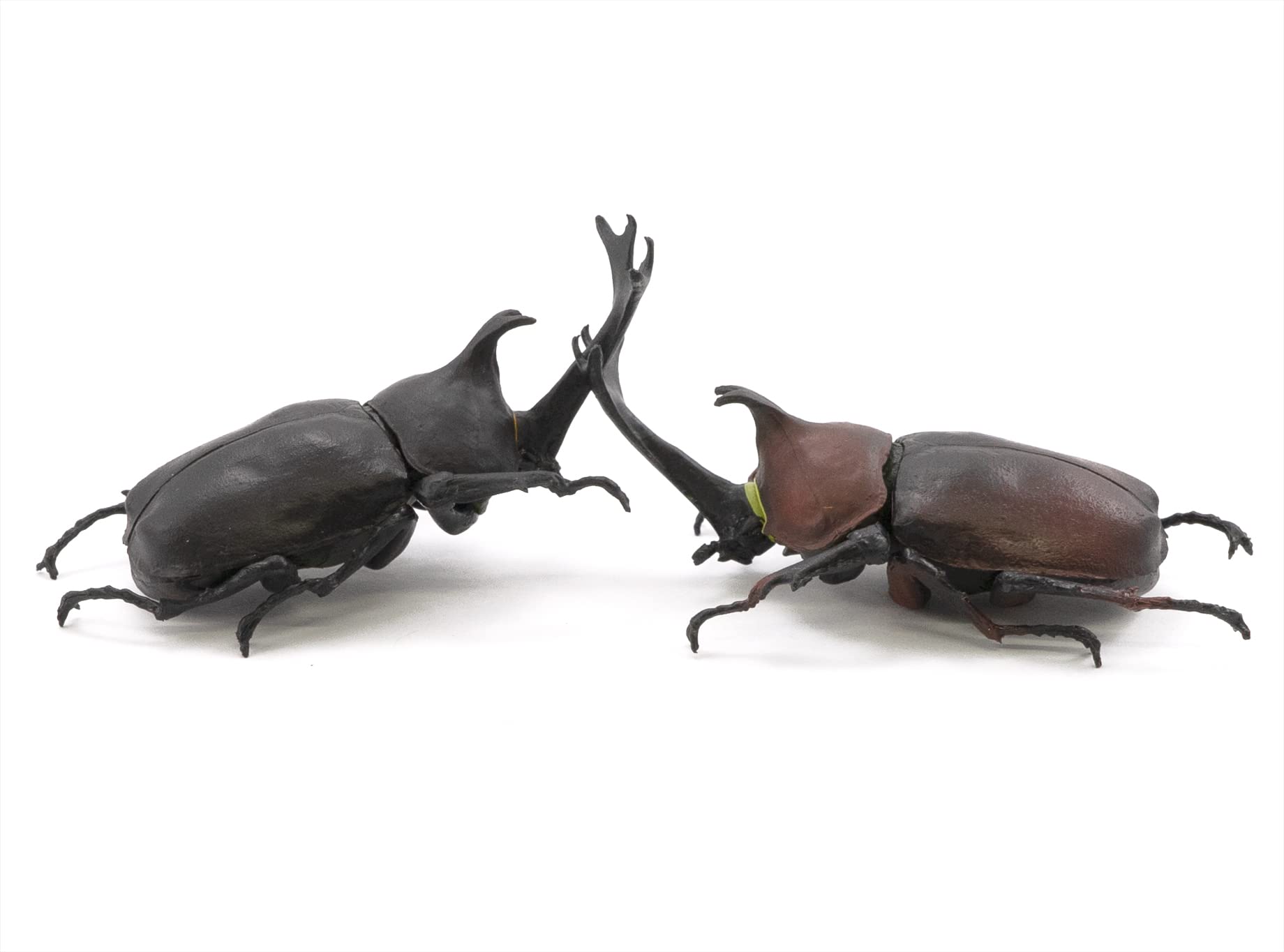 F-TOYS - Incects Hunter Rhinoceros Beetle X Stag Beetle 10Pcs Box - Candy Toy- Japan Figure Store - #1 Bring To You The Best Japanese Goods