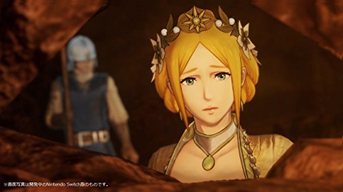 Koei Tecmo Fire Emblem Musou Nintendo Switch - Used Japan Figure 4988615096419 10