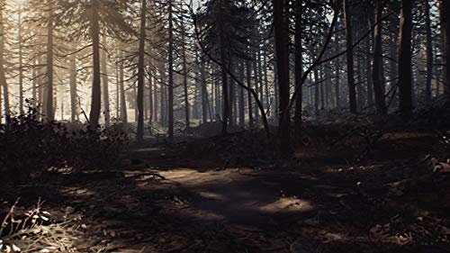 Na Publishing Blair Witch Nintendo Switch - New Japan Figure 4988635001097 2