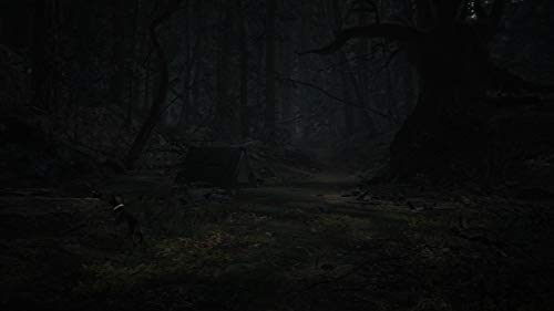 Na Publishing Blair Witch Nintendo Switch - New Japan Figure 4988635001097 3