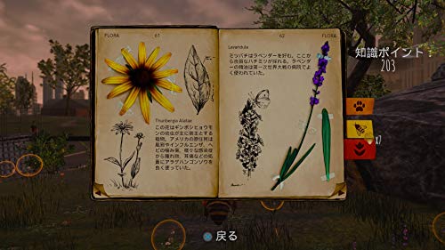 Oizumi Amuzio Bee Simulator Sony Playstation 4 - New Japan Figure 4571331332703 1