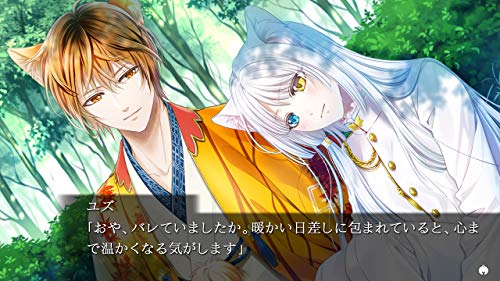 Prototype Gunka O Haita Neko Nintendo Switch - New Japan Figure 4580206270941 1