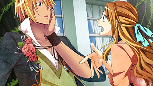 Quinrose Okashi Na Shima No Peter Pan ~Sweet Never Land~ Psvita - Used Japan Figure 4560231121708 3