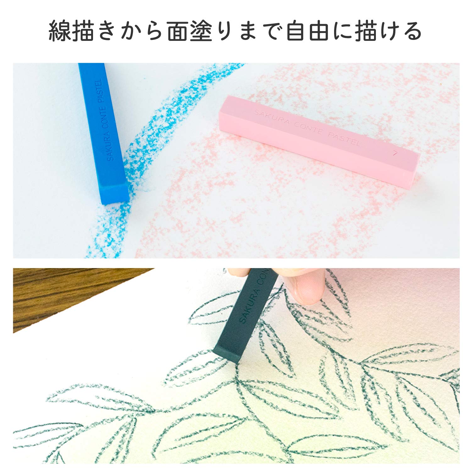 Sakura Crepas Japan Pastel Conte 24 Colors Ct24- Japan Figure Store - #1 Bring To You The Best Japanese Goods