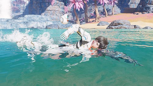 Sega Phantasy Star Online 2 New Genesis Starter Package Limited Edition For Sony Playstation Ps4 - New Japan Figure 4974365825232 5