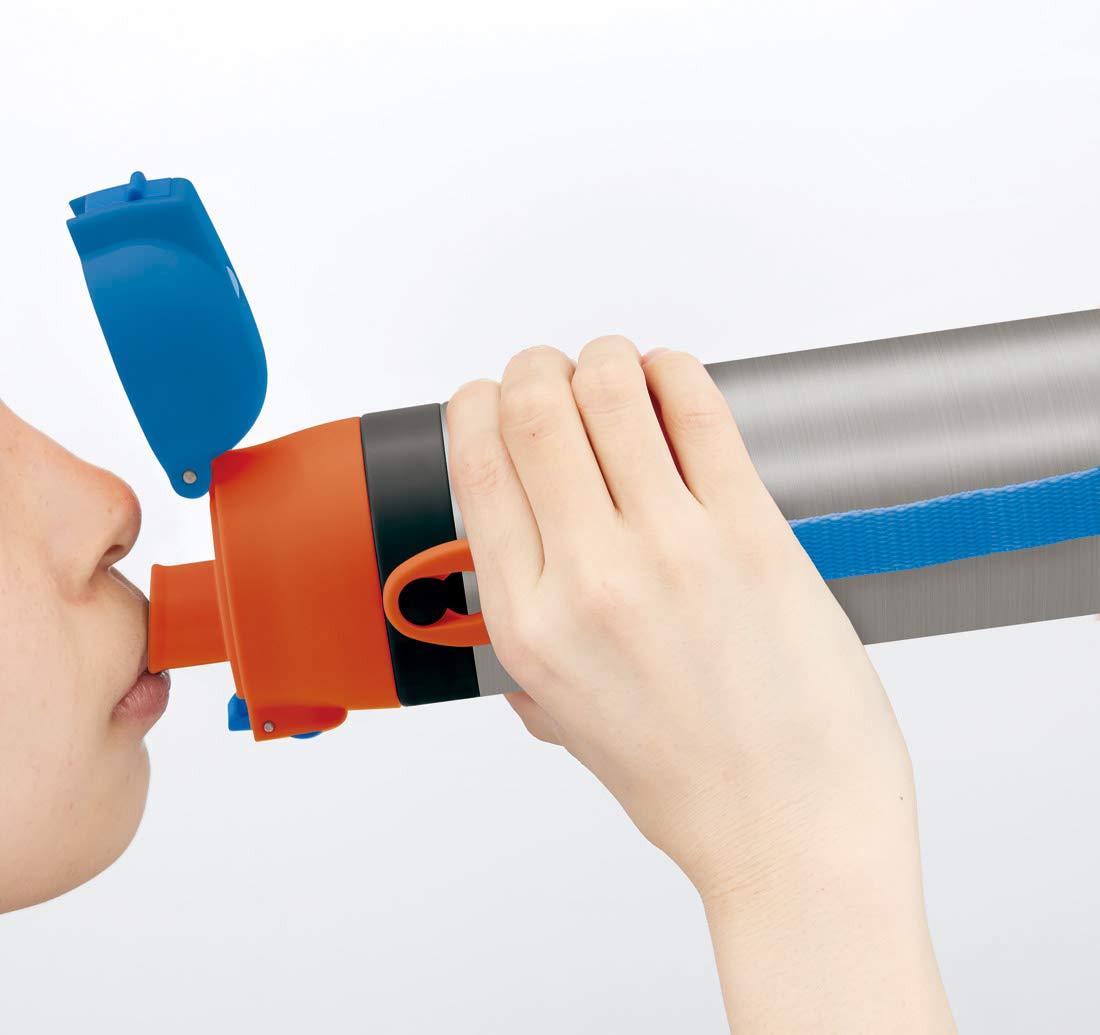 SKATER 2Way Stainless Steel Water Bottle Super Mario- Japan Figure Store - #1 Bring To You The Best Japanese Goods