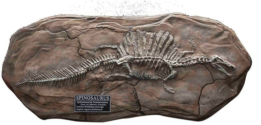 Star Ace Toys Spinosaurus Fossil Replica Figure 200X370X30Mm Japan- Japan Figure Store - #1 Bring To You The Best Japanese Goods
