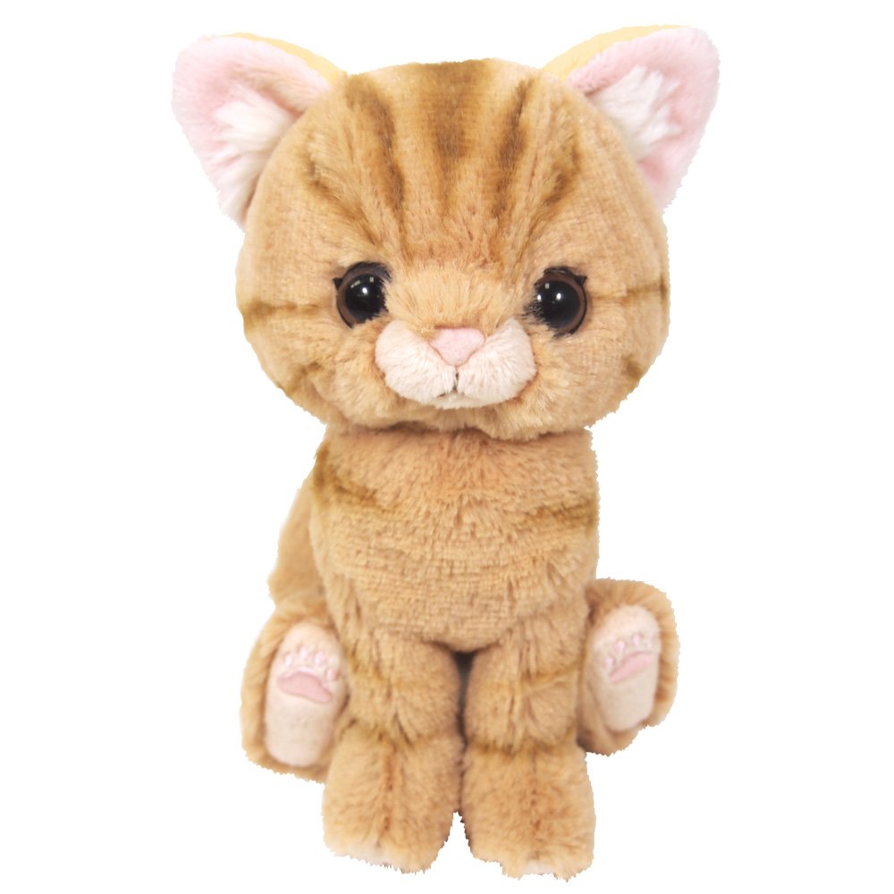 SUNLEMON Plush Doll Kitten American Shorthair Brown Size S Tjn- Japan Figure Store - #1 Bring To You The Best Japanese Goods