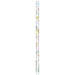 San-X Ch/M 2B Pencil Silver/Gold PH16504- Japan Figure Store - #1 Bring To You The Best Japanese Goods